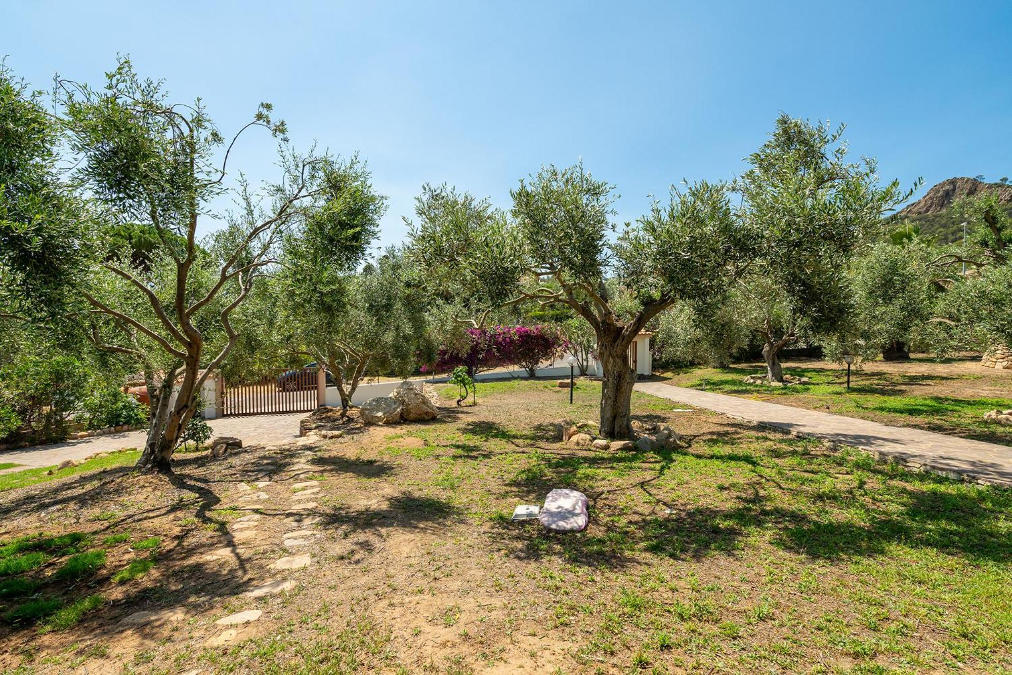 فندق Casa Pilato Poggio dei Pini المظهر الخارجي الصورة